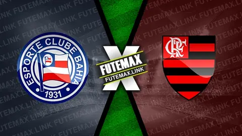 Assistir Bahia x Flamengo ao vivo online HD 28/08/2024