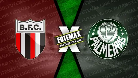 Assistir Botafogo-SP x Palmeiras ao vivo online HD 23/05/2024