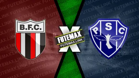 Assistir Botafogo-SP x Paysandu ao vivo online HD 18/08/2024