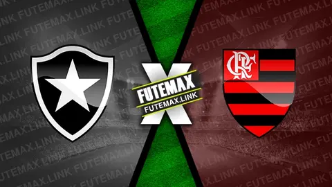 Assistir Botafogo x Flamengo ao vivo online 18/08/2024