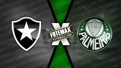 Assistir Botafogo x Palmeiras ao vivo online HD 17/07/2024