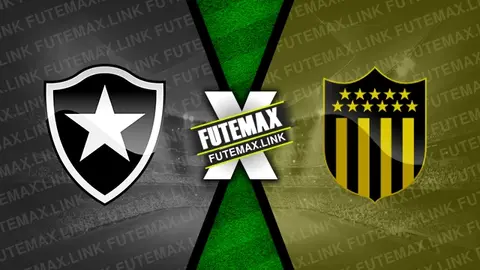 Assistir Botafogo x Peñarol ao vivo HD 23/10/2024