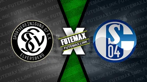 Assistir Elversberg x Schalke 04 ao vivo 19/04/2024 online