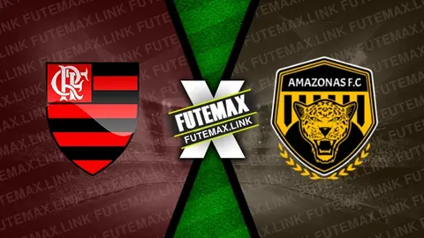 Assistir Flamengo x Amazonas ao vivo online HD 01/05/2024