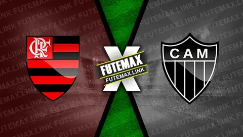 Assistir Flamengo x Atlético-MG ao vivo HD 13/11/2024