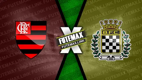 Assistir Flamengo x Boavista ao vivo 20/02/2024 online