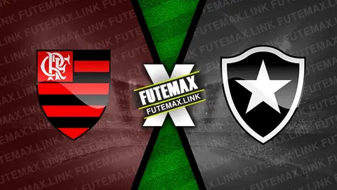 Assistir Flamengo x Botafogo ao vivo HD 02/05/2024 grátis