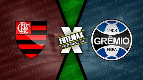 Assistir Flamengo x Grêmio ao vivo online HD 07/06/2024