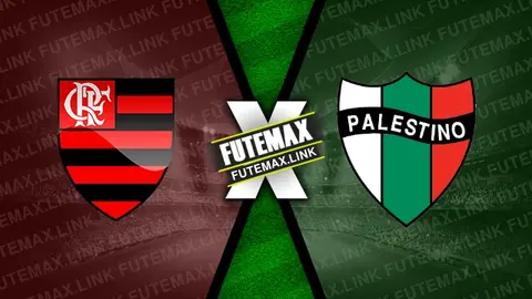 Assistir Flamengo x Palestino ao vivo 10/04/2024 online