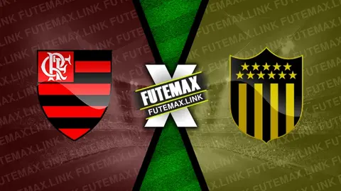 Assistir Flamengo x Peñarol ao vivo HD 19/09/2024 grátis