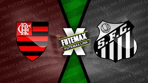 Assistir Flamengo x Santos ao vivo HD 29/04/2024