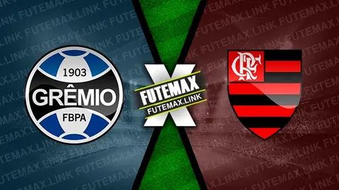 Assistir Grêmio x Flamengo ao vivo online HD 22/09/2024