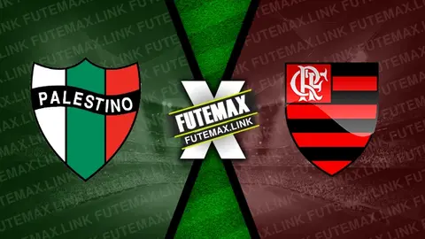 Assistir Palestino x Flamengo ao vivo online 07/05/2024