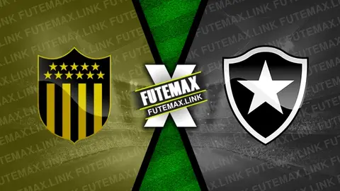 Assistir Peñarol x Botafogo ao vivo HD 30/10/2024