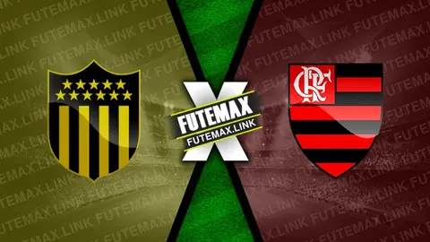 Assistir Peñarol x Flamengo ao vivo 26/09/2024 online